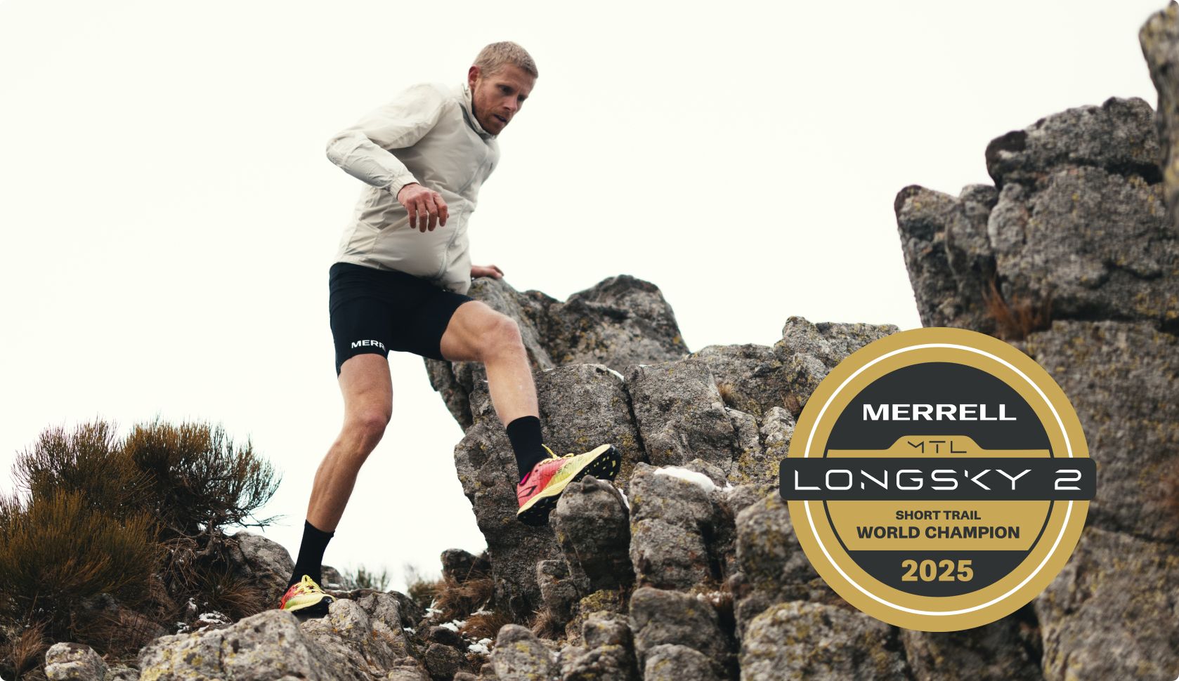 Alt text here